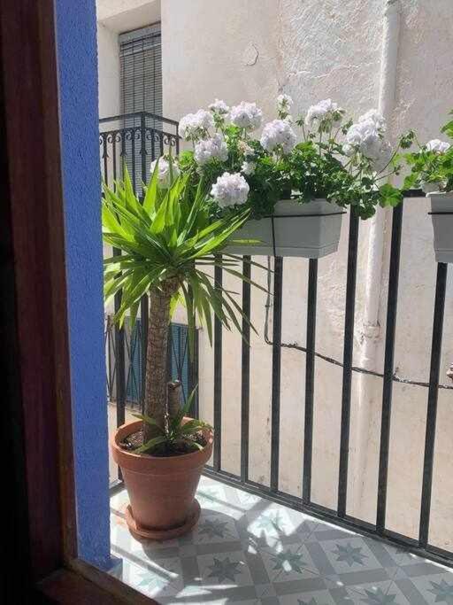 Casa Ziba Casco Antiguo Wifiaa Apartment Peniscola Bagian luar foto